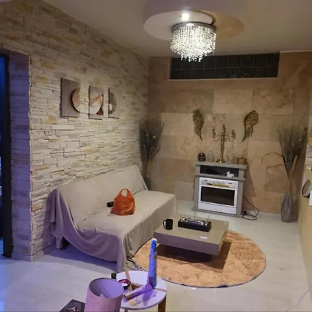 Svetlana Apartment
